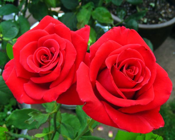 Veterans' Honor photo vh2013_07160055_zpsd27f4f9a.jpg